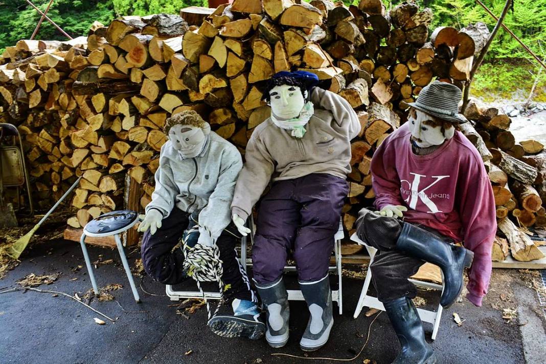 Bu köye gelenler gözlerine inanamıyor: Tüyler ürperten manzara! Hepsi yetişkin insan boyutlarında 7